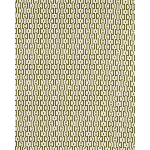 BELVEDERE_ OLIVE