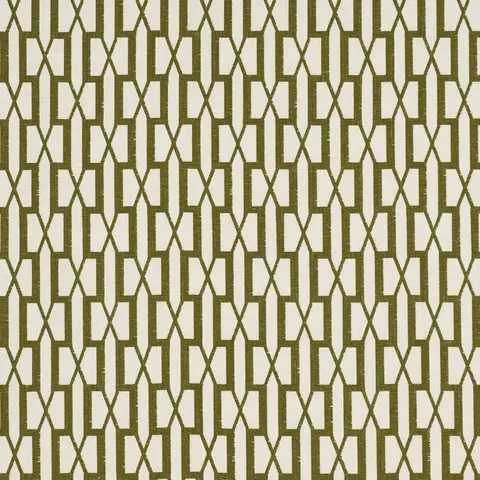 BELVEDERE_ OLIVE