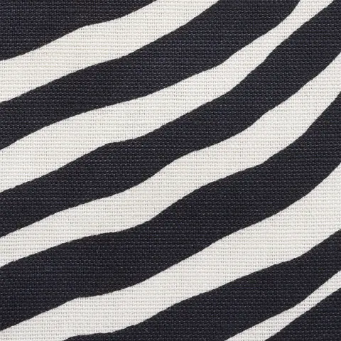 ICONIC ZEBRA_ BLACK