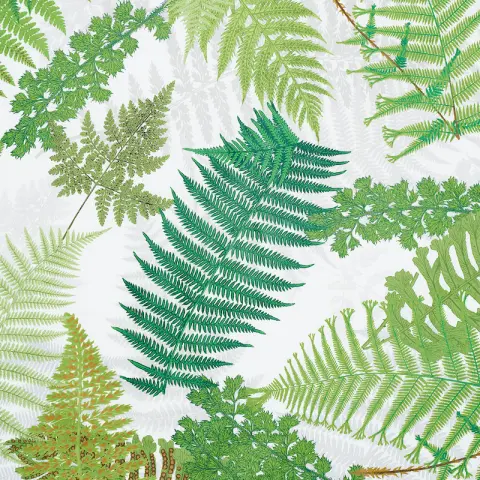 FERNARIUM_ GREEN & IVORY