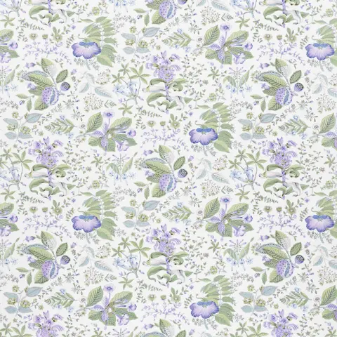 POMEGRANATE BOTANICAL_ PURPLE