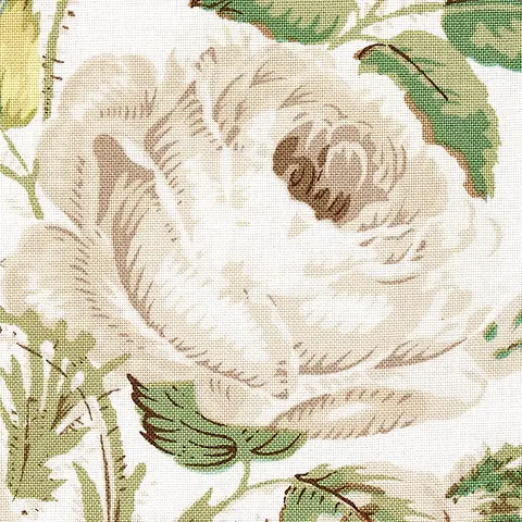 LOUDON ROSE_ IVORY