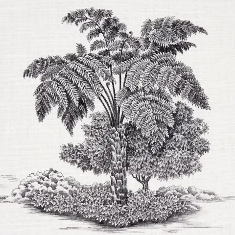 TOUSSAINT TOILE_ BLACK