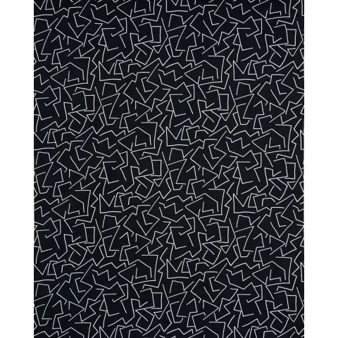 TANGENT PRINT_ CARBON