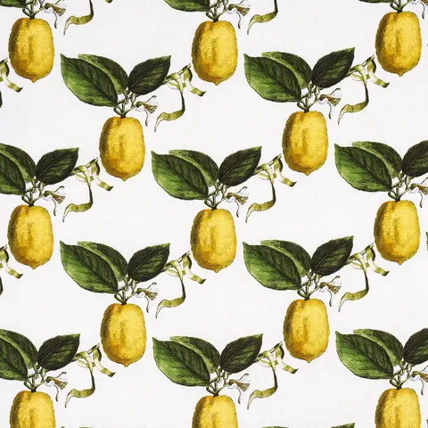 Le Citron - Ivory Fabrics