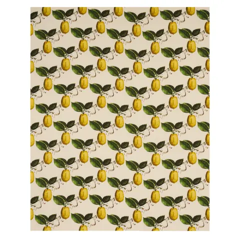LE CITRON_ NATURAL