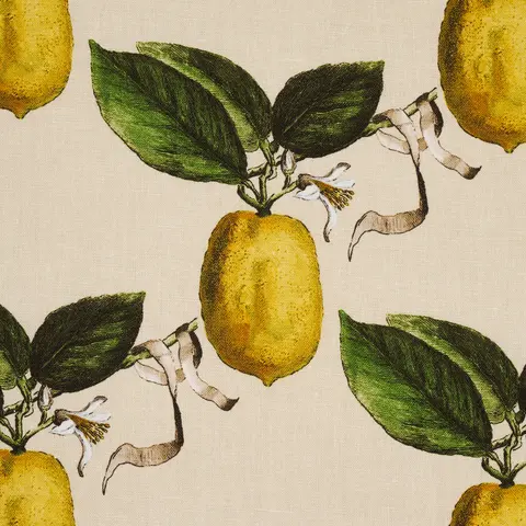 LE CITRON_ NATURAL
