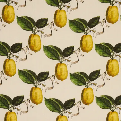 LE CITRON_ NATURAL