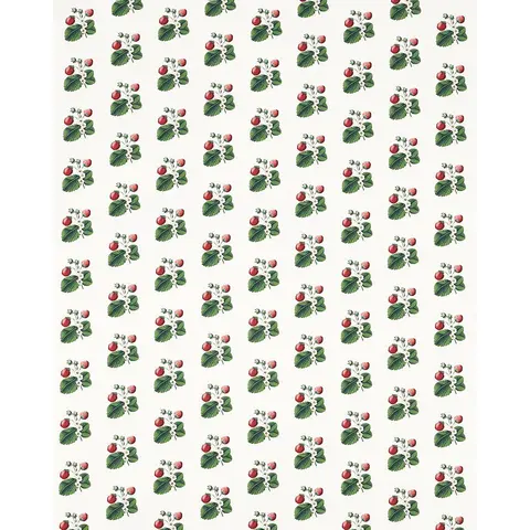 STRAWBERRY HILL_ WHITE