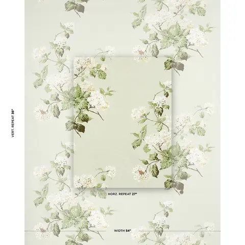 SUMMER HYDRANGEA_ CELADON
