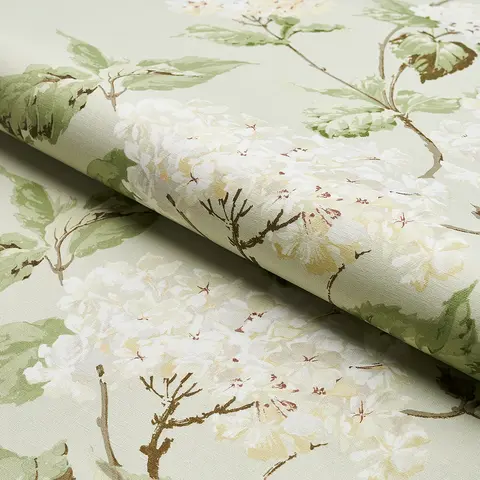 SUMMER HYDRANGEA_ CELADON