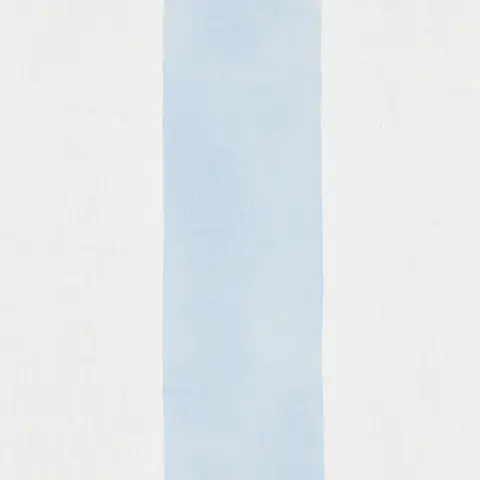 Wide Hand Block Stripe_ BLUE