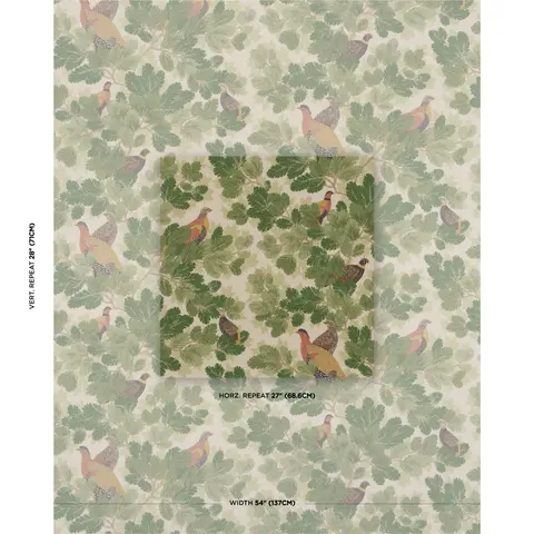 COVEY HEDGE_ PINE