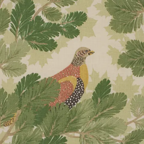 COVEY HEDGE_ PINE