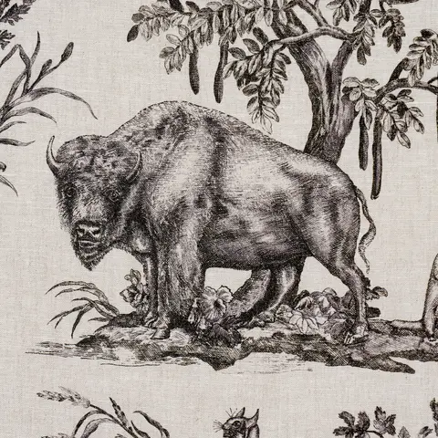 WESTERN TOILE_ CARBON