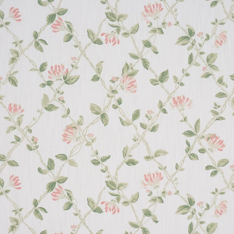 HONEYSUCKLE_ LEAF