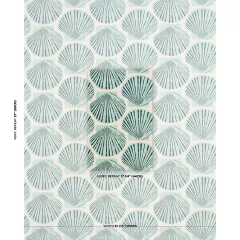 SCALLOP SHELL_ AQUA