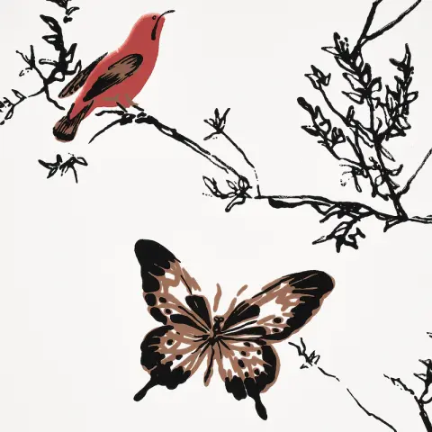 BIRDS & BUTTERFLIES_ MULTI ON WHITE