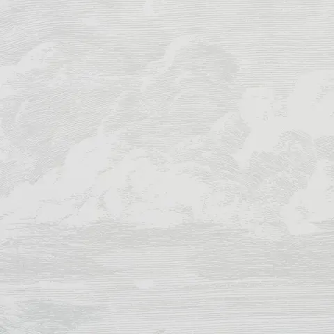 CLOUD TOILE_ QUARTZ