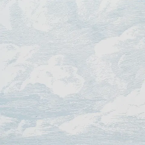 CLOUD TOILE_ MINERAL