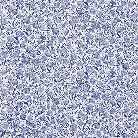 Chrysanthemum_ BLUE