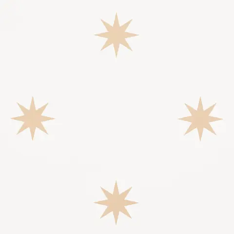 STARGAZE_ BRONZE