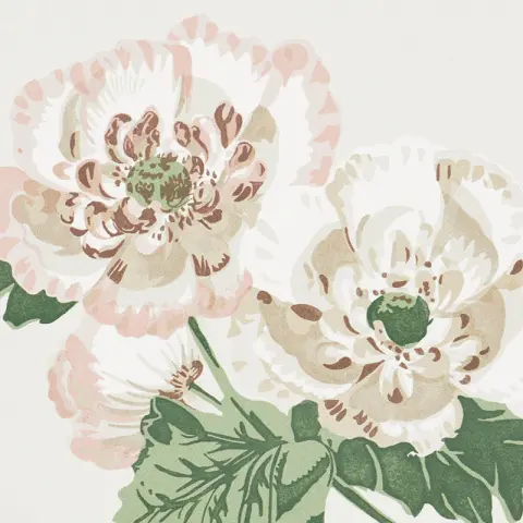 BETTY_ QUIET PINK