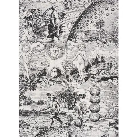 Modern Toile_ BLACK