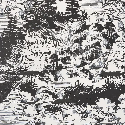 Modern Toile_ BLACK