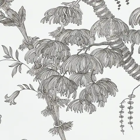 SAN CRISTOBAL TOILE_ BLACK