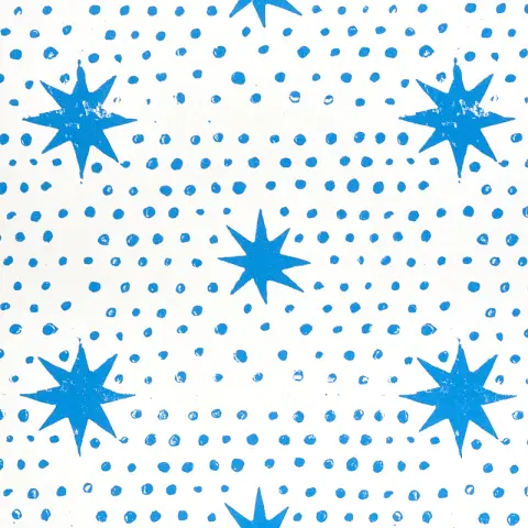 Spot & Star_ BLUE