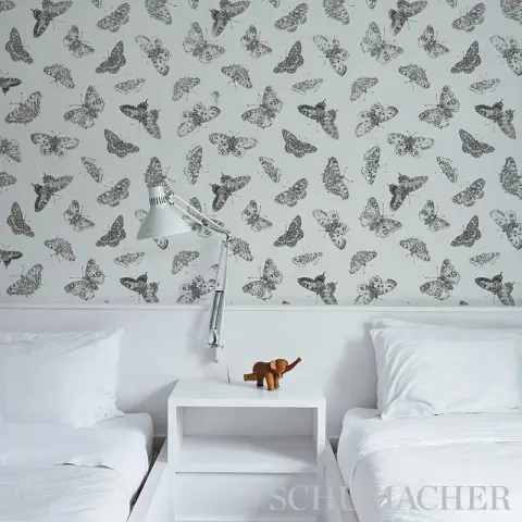 BURNELL BUTTERFLY_ IVORY