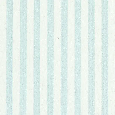 EDWIN STRIPE NARROW_ SKY