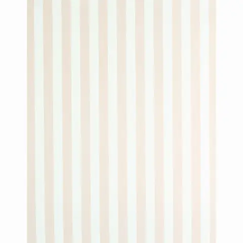 EDWIN STRIPE MEDIUM_ BLUSH