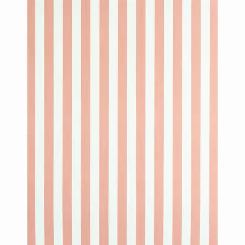 EDWIN STRIPE MEDIUM_ PINK