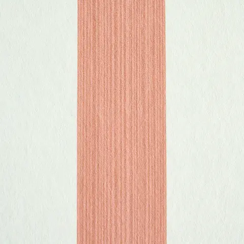 EDWIN STRIPE MEDIUM_ PINK