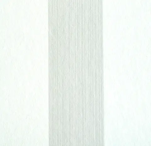 EDWIN STRIPE MEDIUM_ BIRCH