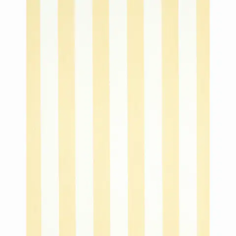 EDWIN STRIPE WIDE_ BUTTERCUP