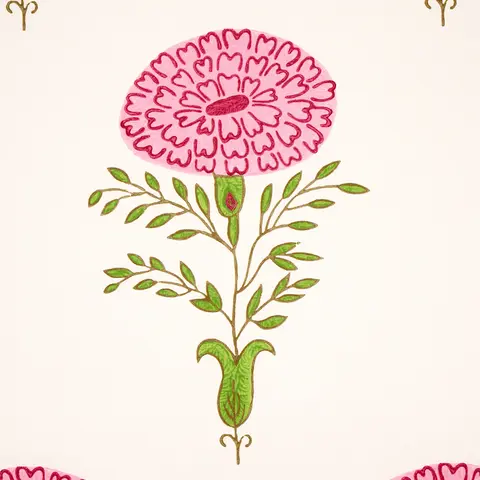 Marigold_ PINK