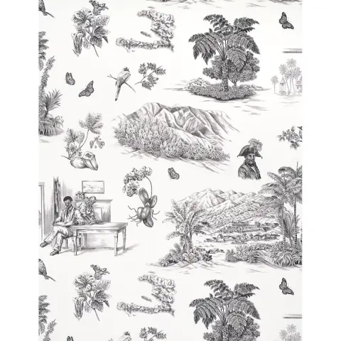 TOUSSAINT TOILE_ BLACK ON IVORY