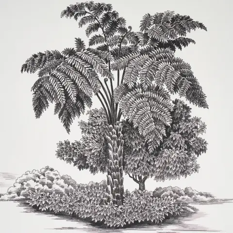 TOUSSAINT TOILE_ BLACK ON IVORY