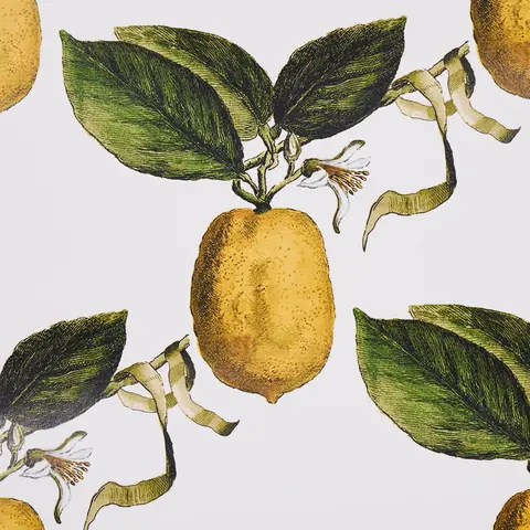 LE CITRON_ IVORY