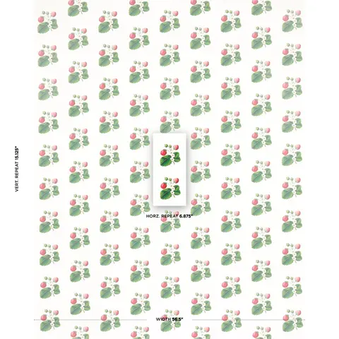 STRAWBERRY HILL_ WHITE