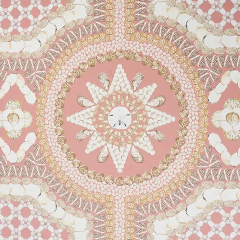SHELL GROTTO PANEL A_ CORAL