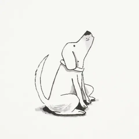 Good Dogs Everywhere_ BLACK & WHITE