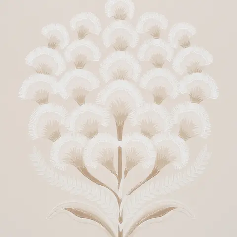 Aurelia_ LIMESTONE