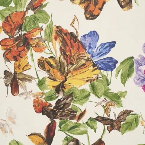 Pyne Butterfly_ MONARCH ORANGE