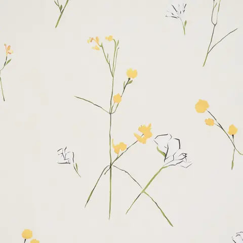 Alex's Floral_ DAFFODIL
