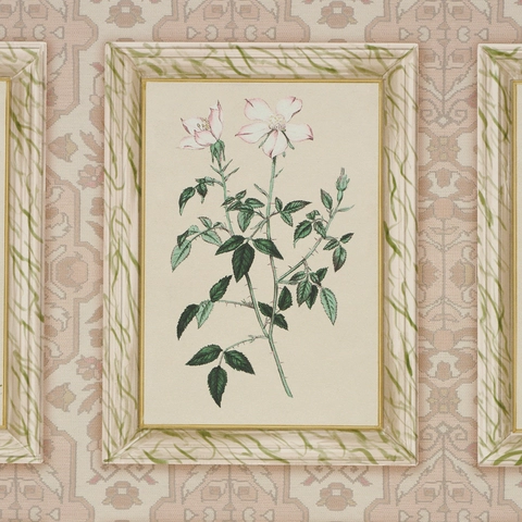 Garden's Trust_ BLUSHED OYSTER