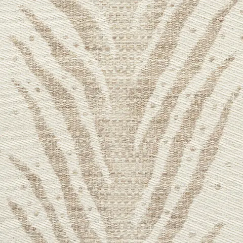 CREEPING FERN_ DUNE